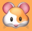 看片免费导航APP应用