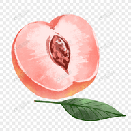 西瓜视频APPAPP应用